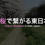 牛山ゼミ・西尾ゼミが東日本連携のPR動画を制作
